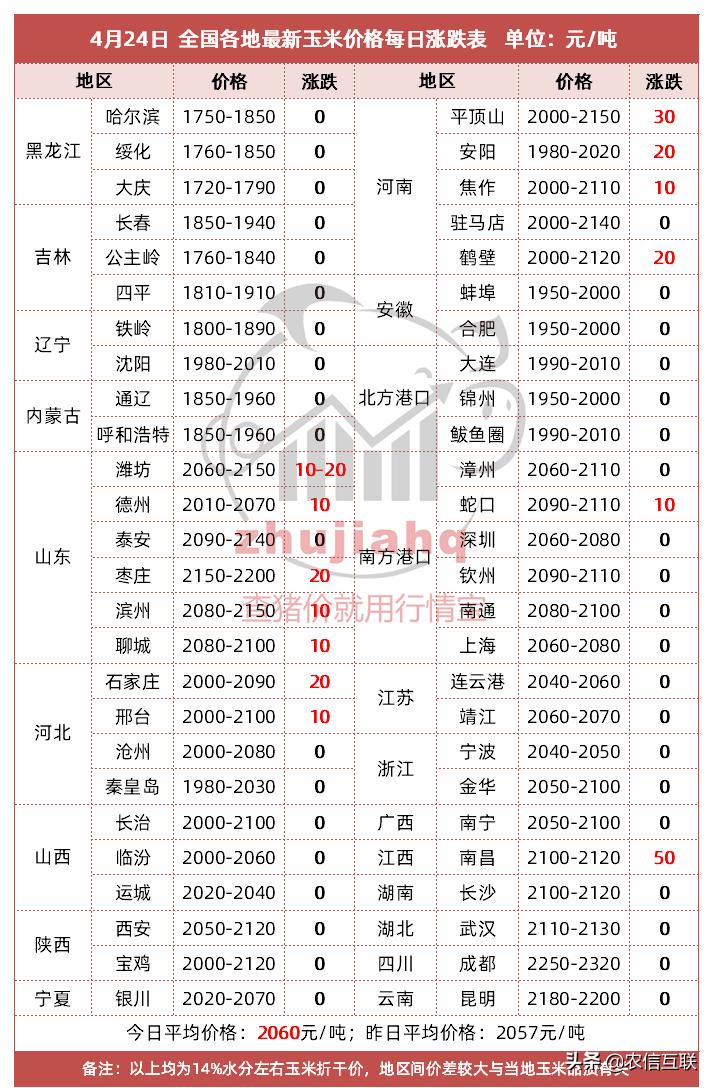 玉米行情山东今天玉米价格,玉米今日行情山东阳谷玉米价格