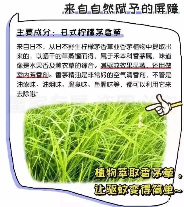 日本驱蚊子膏,日本蚊子叮了的药膏