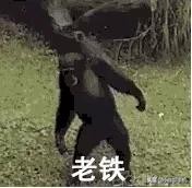 转转是一个什么样的网站,转转这样的app是如何赚钱的