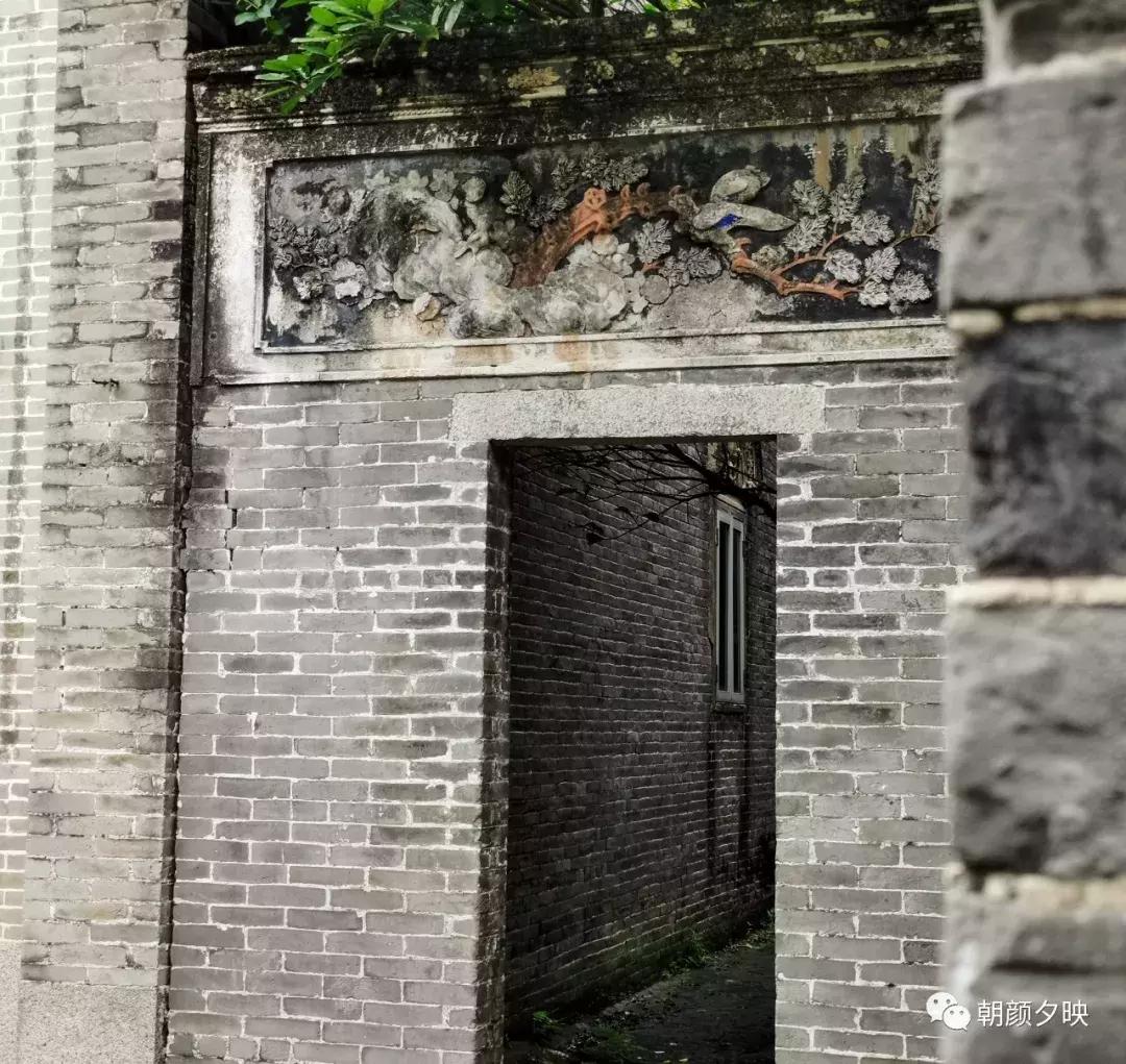 岐阳梧桐起凤环，鹭兮鹭兮寻不见（上）