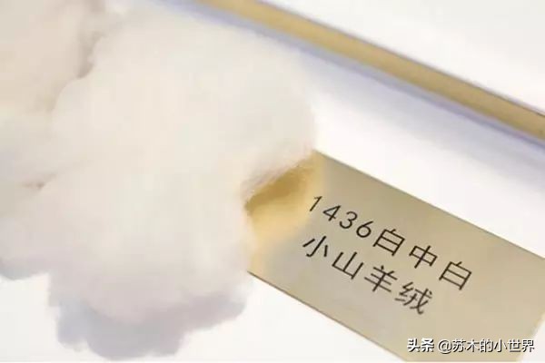 遇到穿婚纱的男孩子你就嫁了吧,遇到一个穿polo的男人