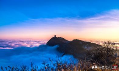 一语茶香，禅庭幽篁——竹叶青