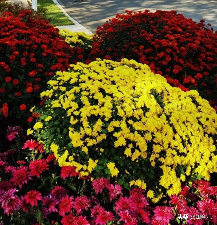 合肥国庆节假期去哪玩三日游,国庆节安徽三日游