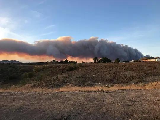 不用农药，让超1000种动植物生态平衡，这次美国人真的做到了