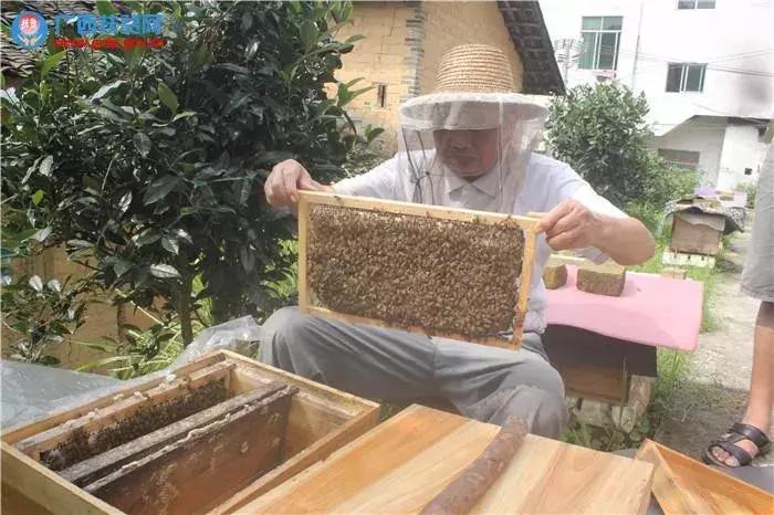 广西财政奖补政策,广西4地市获补助1亿元