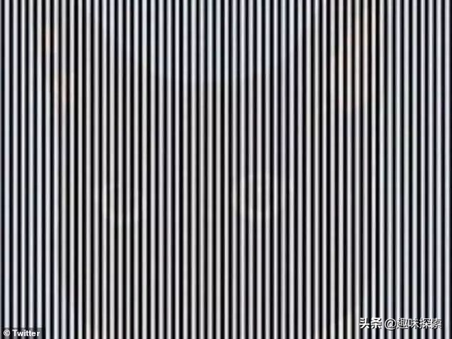 找到图片中隐藏的动物都是高智商,靠眼力找到隐藏的动物