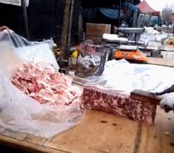 捡到了u盘里面会有什么,捡到一个u盘还好没有用