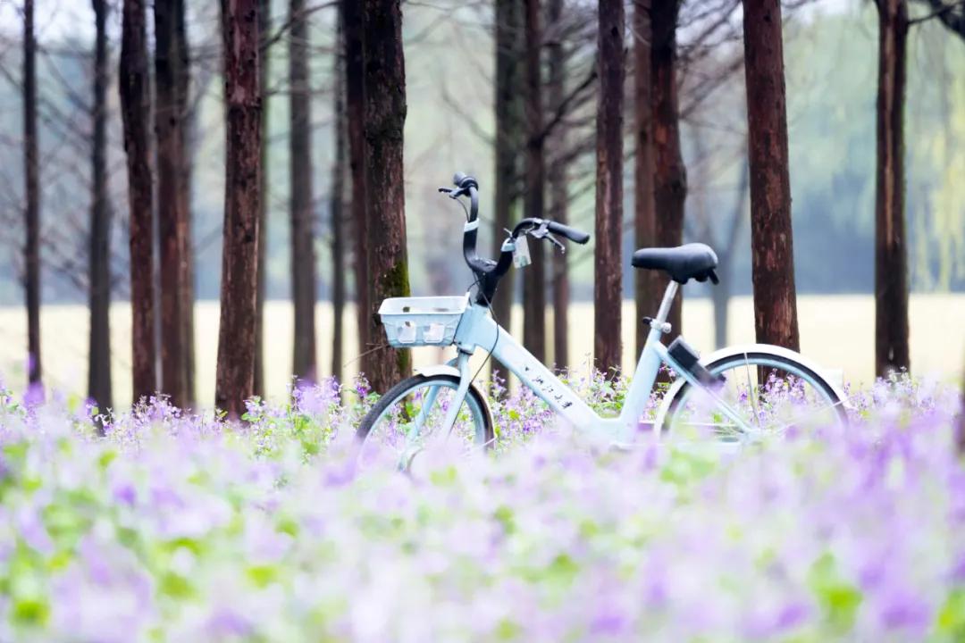 杭州美职学校风景,杭州美丽学校评选