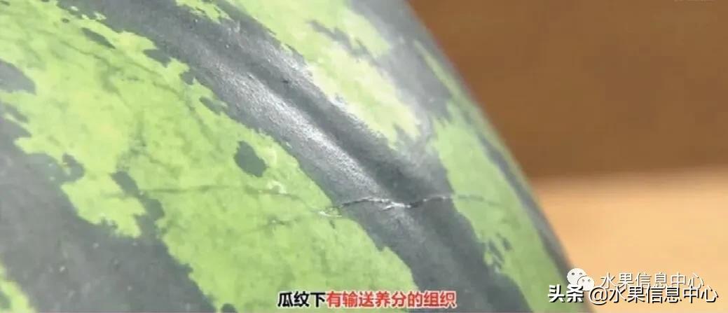 日本水果店怎么挑选,正宗日本水果店