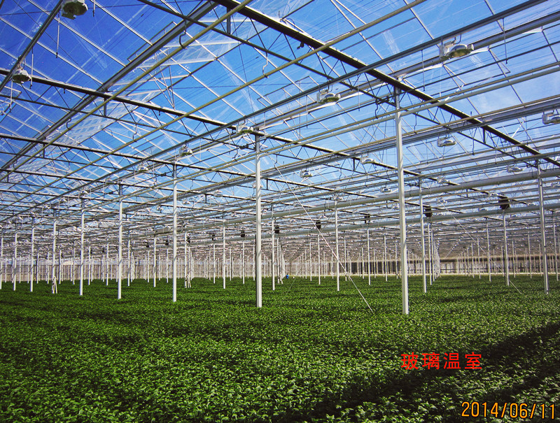 简易连栋温室大棚一亩地多少钱,河北连栋温室大棚一亩地多少钱