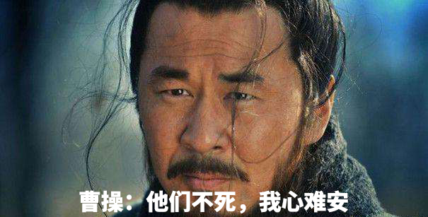 三国时期各地外族势力,三国时期有哪些外族入侵