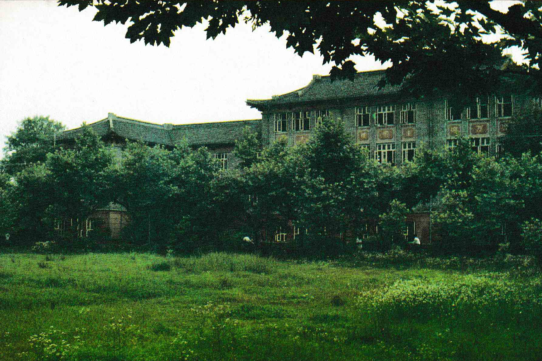 浙江大学明信片怎么写,浙江大学介绍明信片