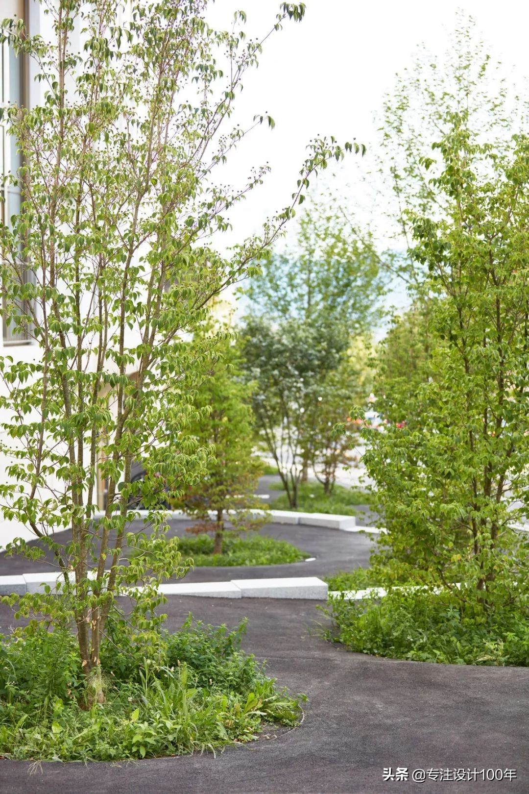 计算高差最快方法,高差图解法