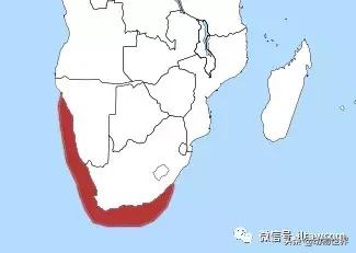 企鹅没有毛还能生活在北极,企鹅没有冰能生活吗