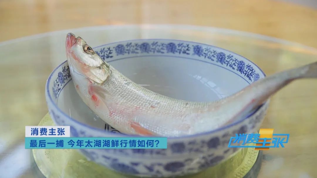 直击太湖开湖现场！鲜美湖鲜大量上市，资深吃货准备好了吗？