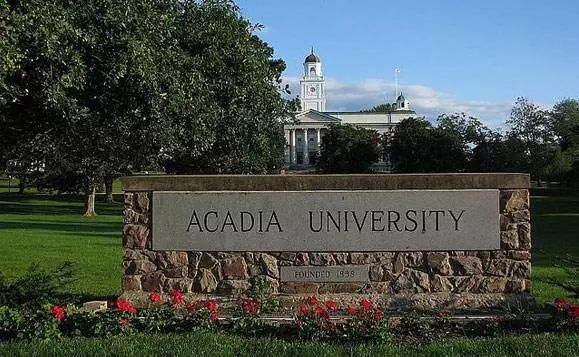 美国亲子游学营,海边亲子游学项目