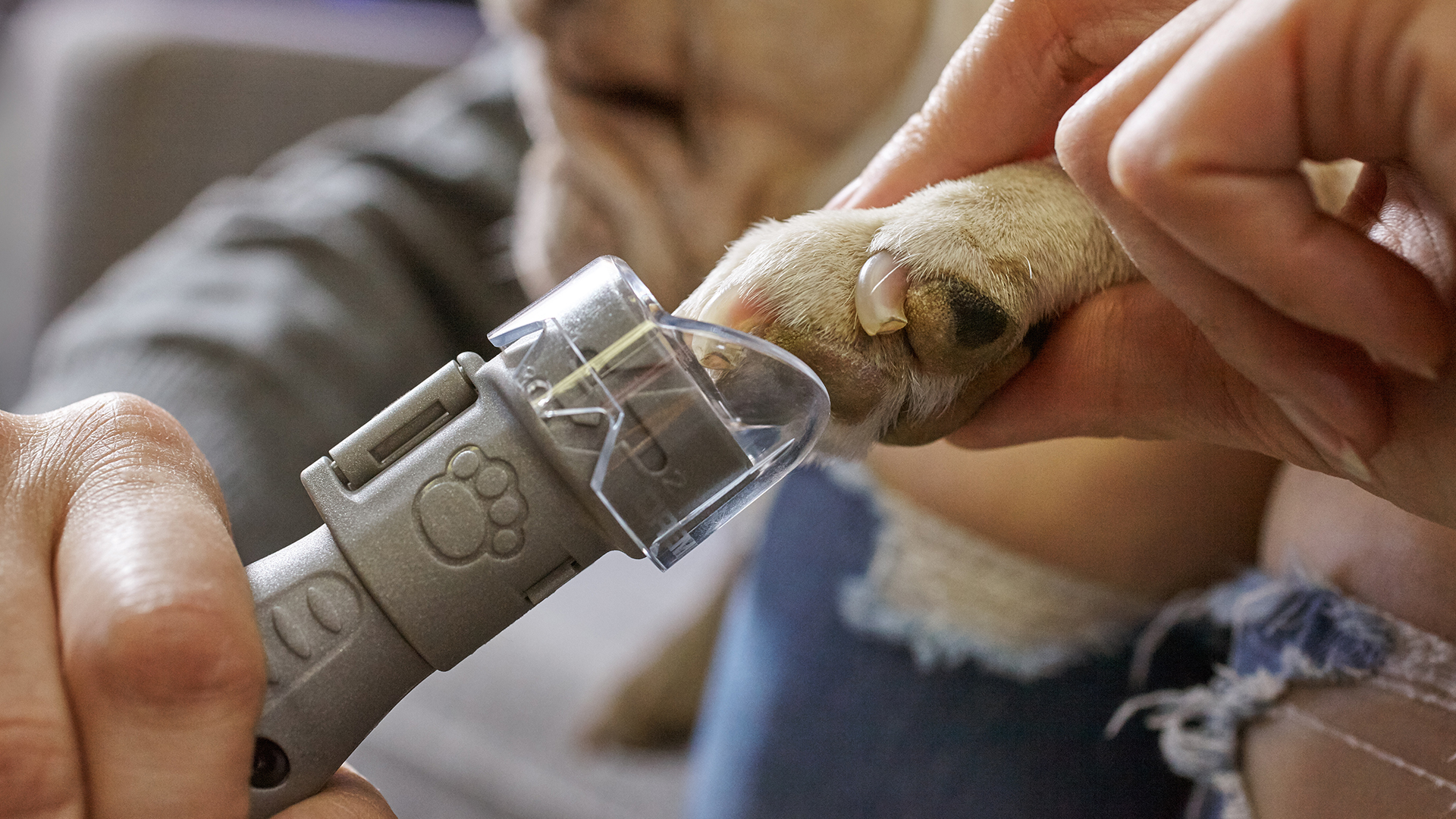 狗狗专用指甲刀充电款,可以用人的指甲刀帮狗狗剪指甲吗