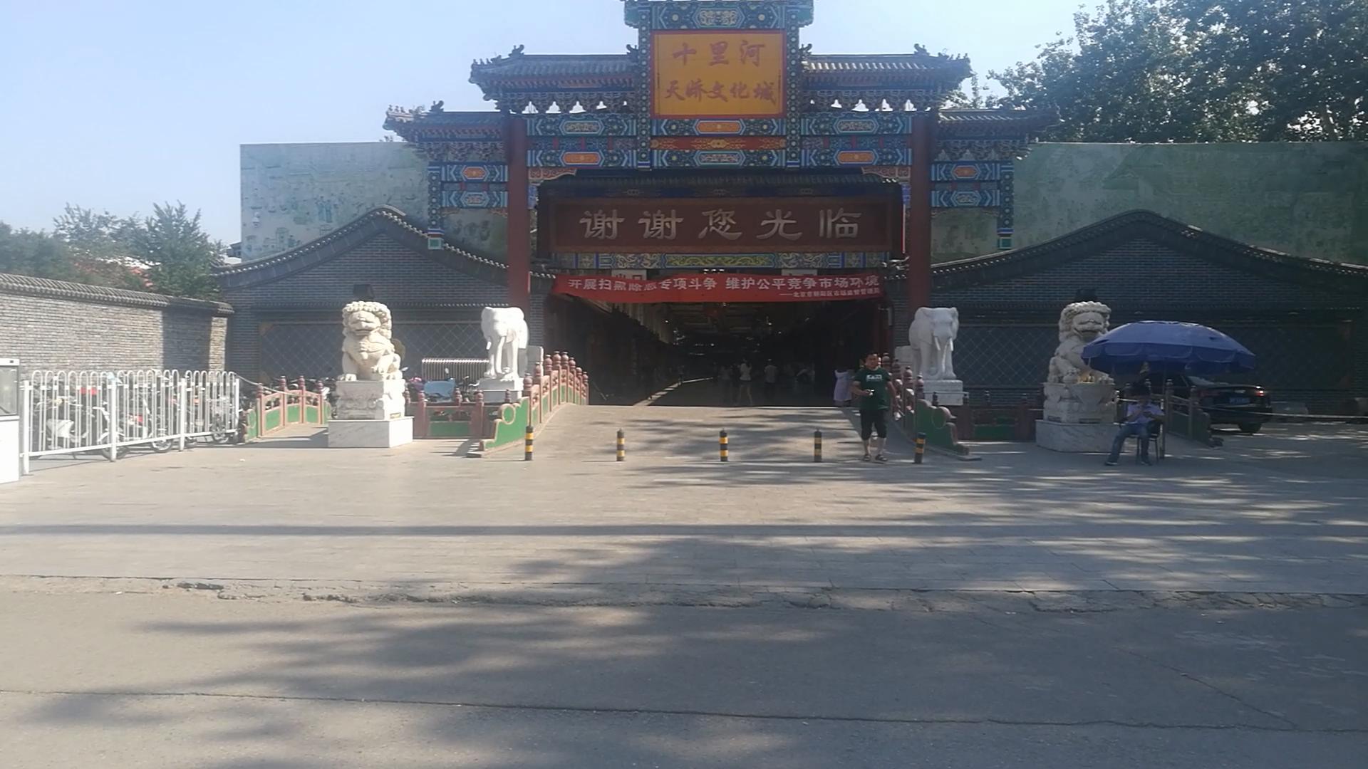 北京十里河鱼市，都说它拆了，我却看到了综合性的水族市场