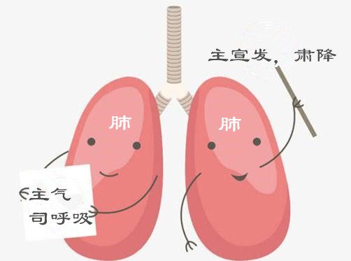 感冒了吃西药好还是中药好得快,儿童感冒药是西药好还是中药好