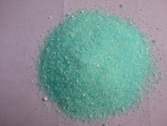 绿萝有黄叶和黑斑怎么办,绿萝出现好多黄叶是什么原因