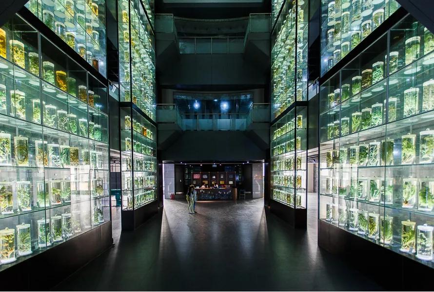 广州中医药大学2021年录取分数线,广州中医药大学成人大专全日制