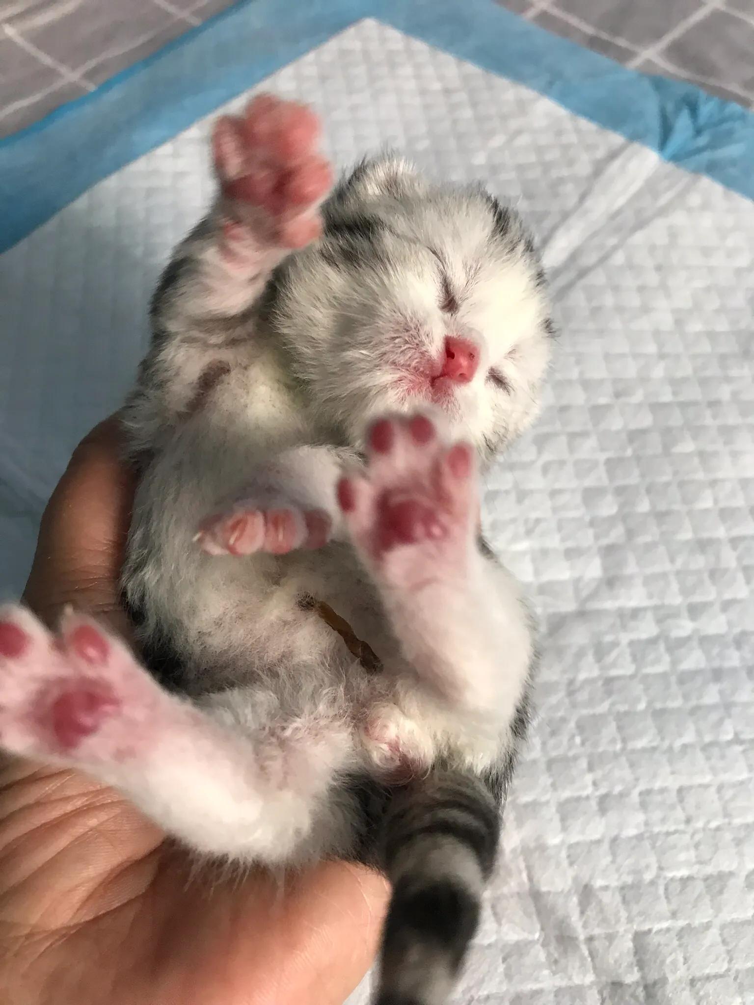 明天我的小屁屁要去深圳了