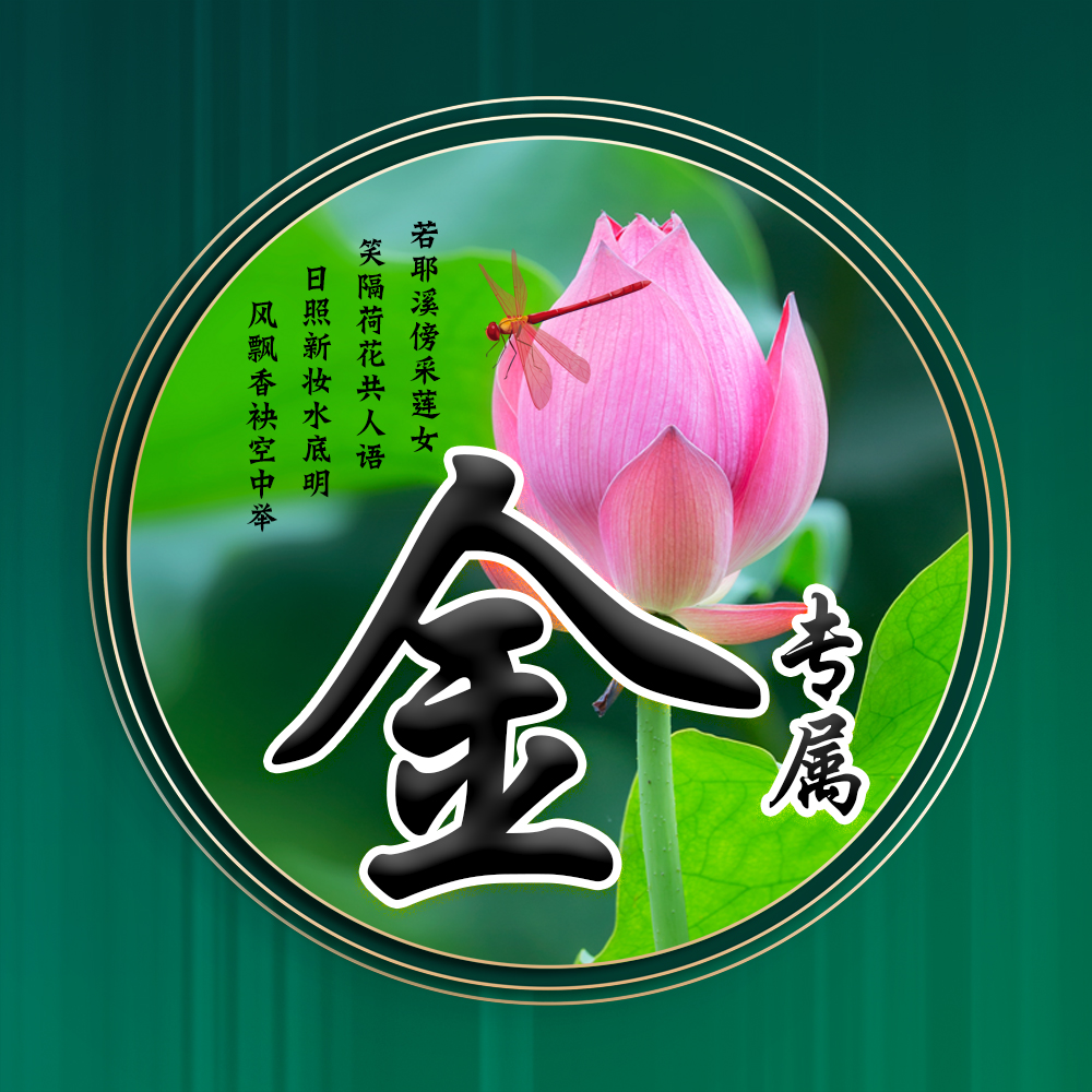 100张唯美荷花姓氏头像,适合做头像的荷花图片清晰点的