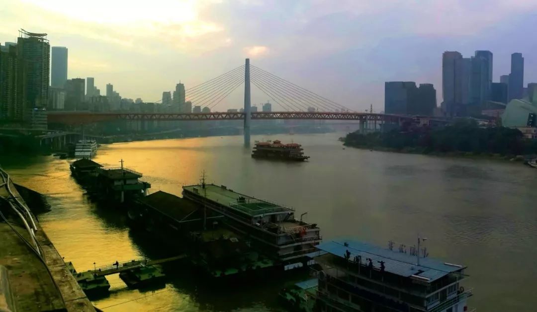 共建陆海新通道川黔携手谋发展,西部陆海新通道渝黔