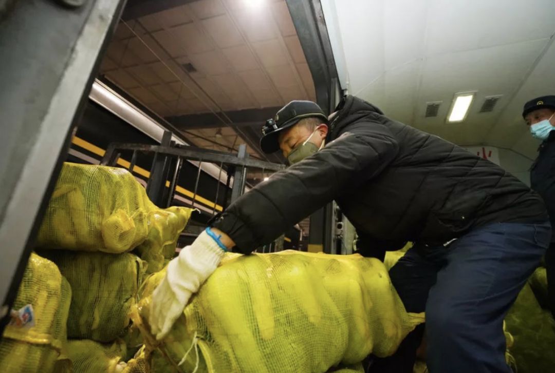 全世界都在流行东北话,东北话为什么会有流行语