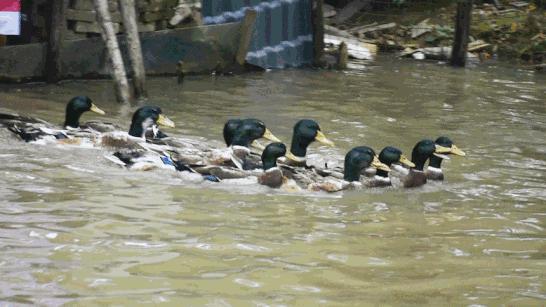 佛山古屋私房菜,佛山南庄鸡煲美食推荐团购套餐