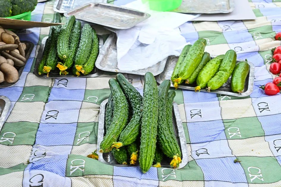 北京京郊大集地理位置,今天京郊哪有大集