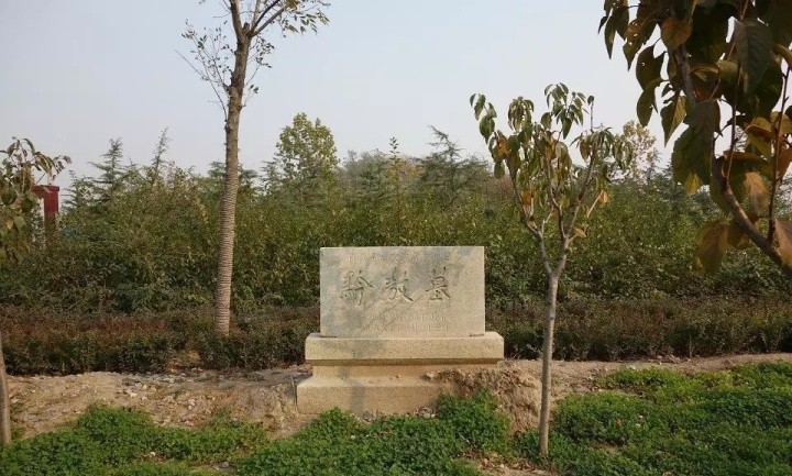 不受嗟来之食上一句是什么,不接受嗟来之食