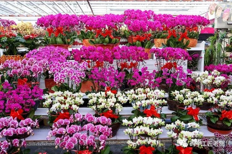 北京新发地花卉创意园,北京城南创意花卉园