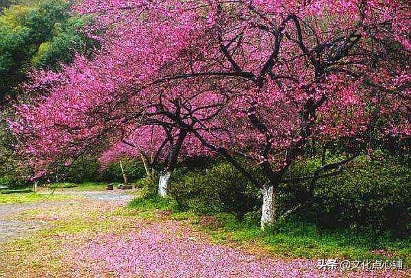 李白互相矛盾的古诗有哪些,李白理想与现实矛盾的诗作