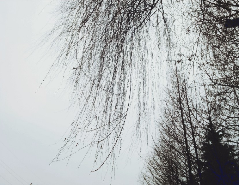 励志诗词大全50首,古诗中励志的诗句大全