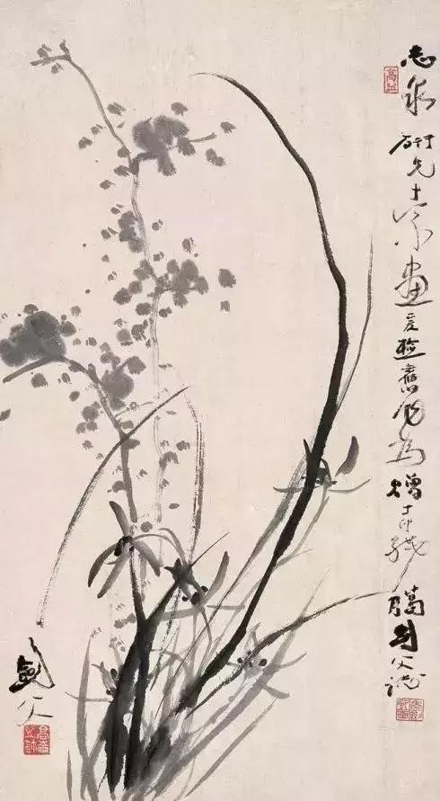 如何画兰花最好看的,君子兰花如何画