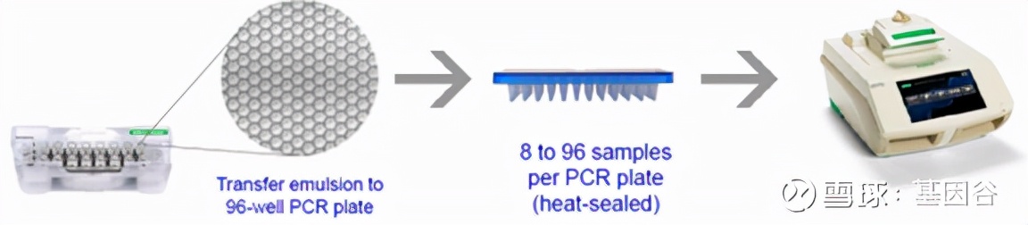 全场硬菜！分子诊断技术全解析