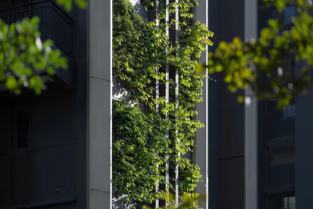 福州万科翡翠里溪望值不值得买,福州万科翡翠里凤栖