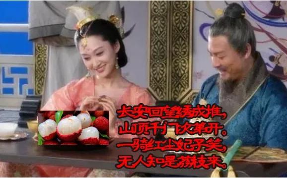 杨贵妃吃的荔枝产自哪里,杨贵妃爱吃的荔枝产自哪里