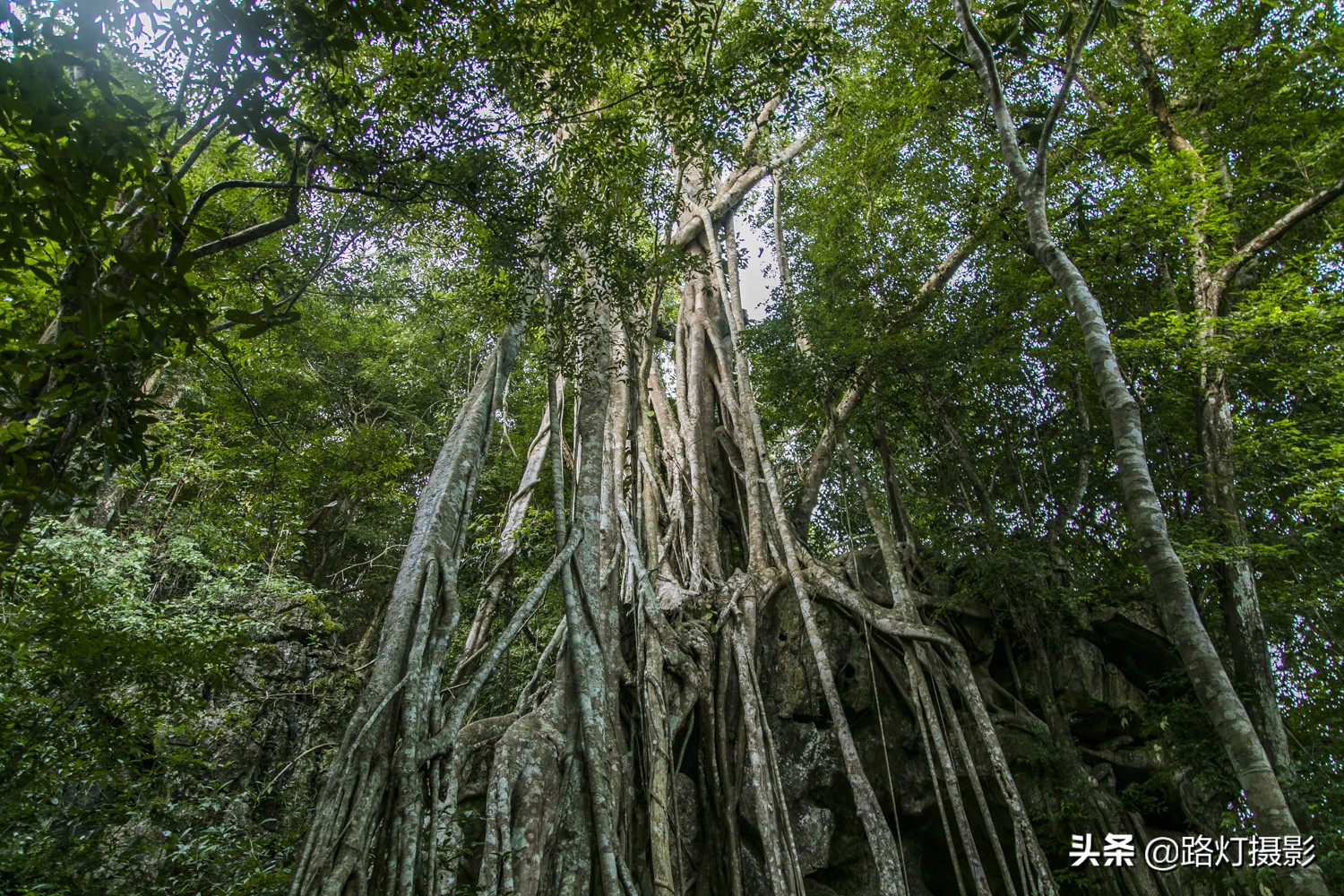 云南5a级景区有哪些景点,云南有几个5a级旅游景区
