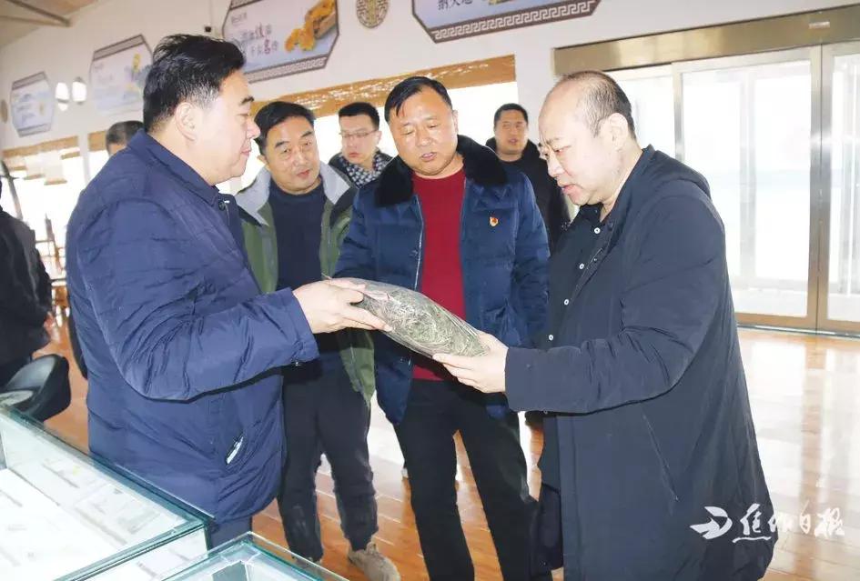 牵好焦作发展的牛鼻子！促进创新驱动发展提高全民科学素质