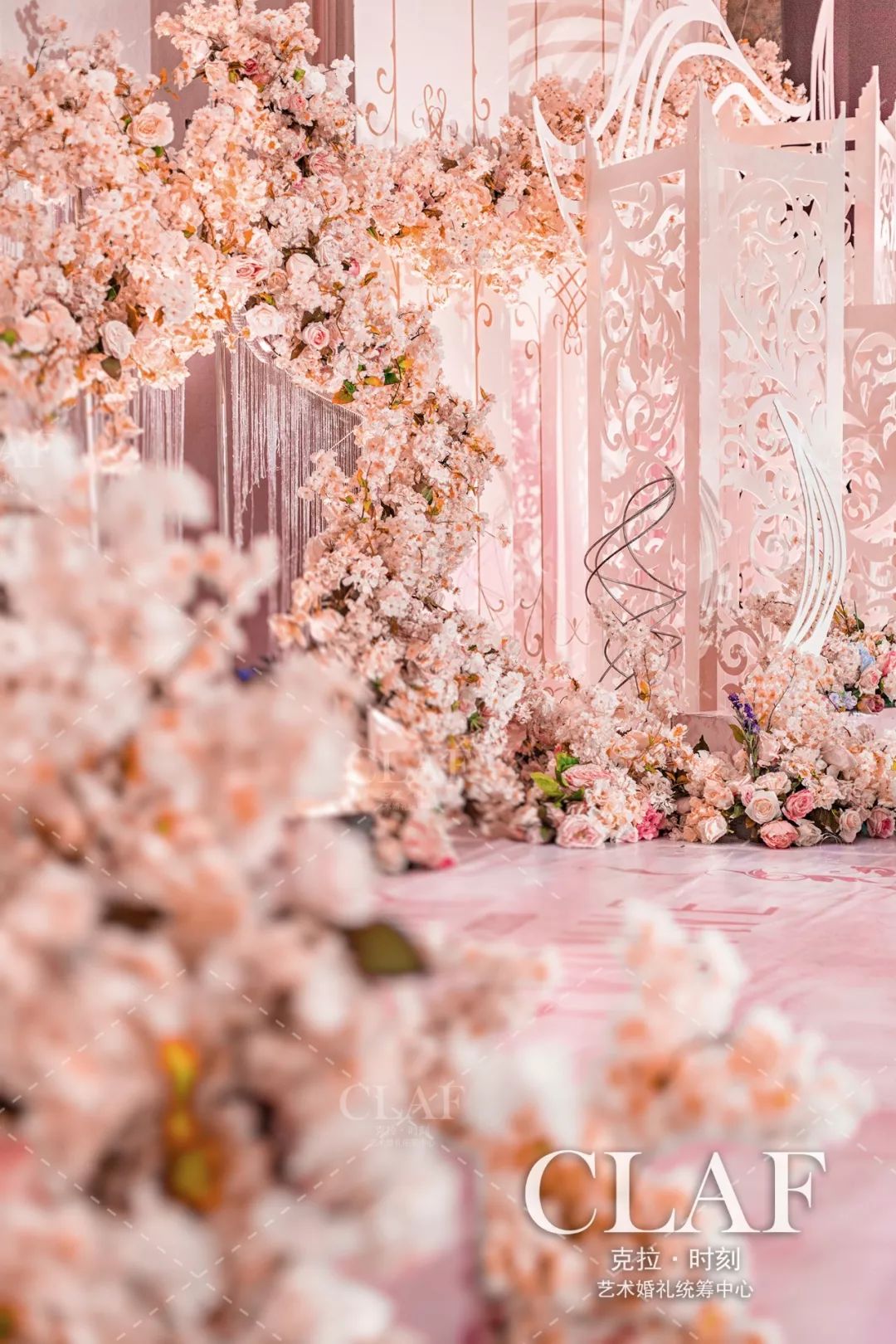 克拉时刻锦鲤|2019年第一个锦鲤会是你吗？