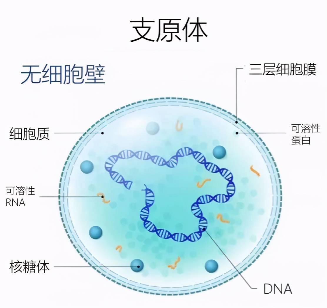 这种病进入高发期家长该怎么办,一家人感染症状不一样会传染吗