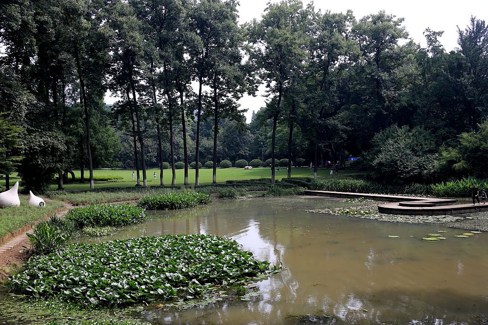 植物园的景；青山吹奏《红河谷》（F调）半音阶口琴演奏第二版