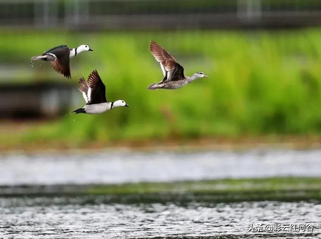 中国云南哪里好看,云南的云彩为什么好看