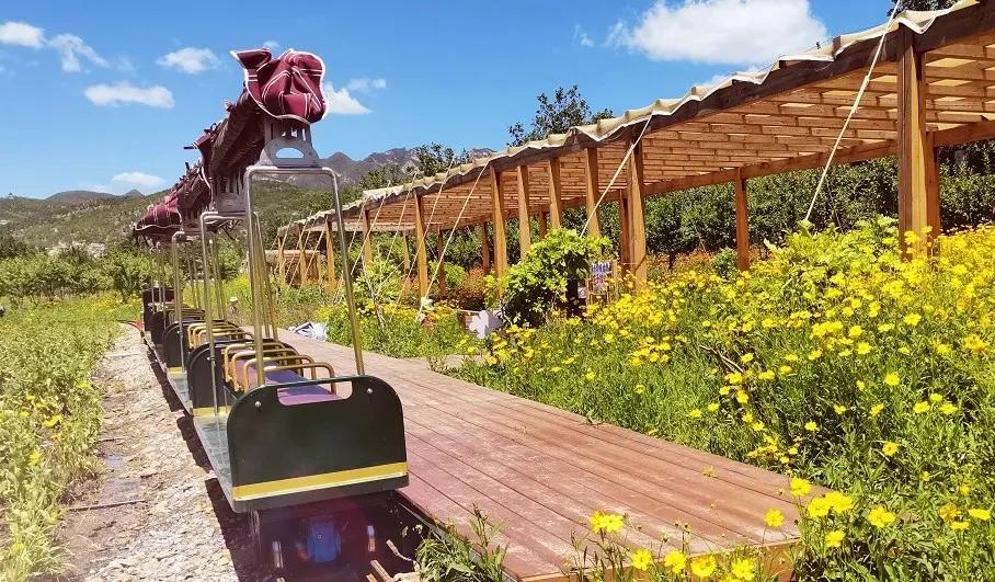 【FENG爆】走！到丰台赏秋去——2021丰台金秋文化旅游季，正式开启！