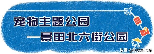 深圳八大主题公园免费开放,深圳遛娃50个必去的主题公园