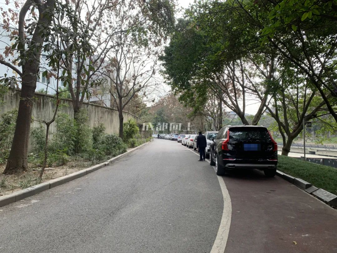 成都绿道风景美如画,成都周边哪条河边绿道最美