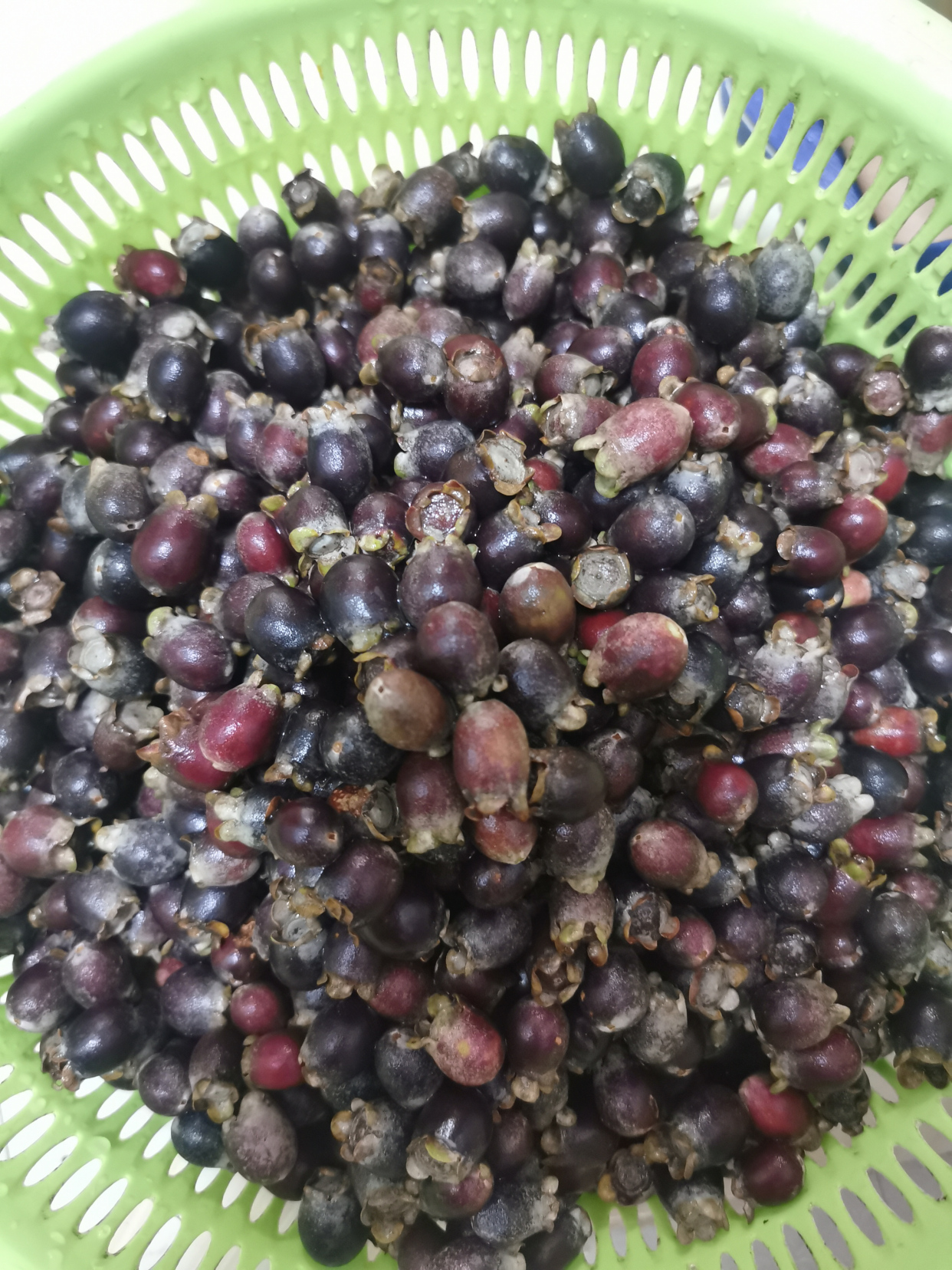 捻子酒半年后要把捻子捞出来吗,捻子酒制作方法