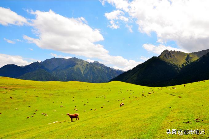 从新疆出发内地旅游省钱攻略,入疆旅游攻略
